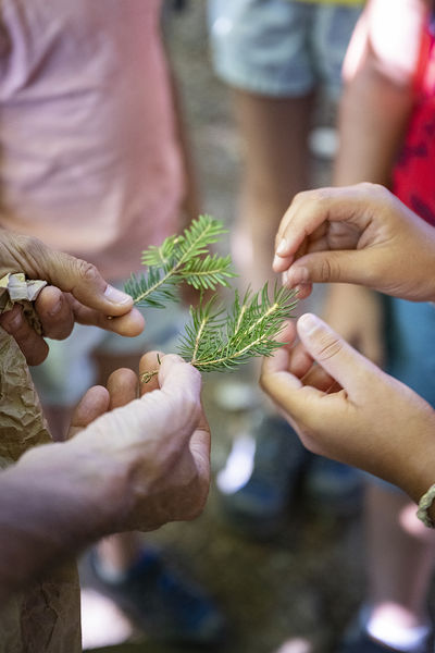 potion magique de Grandboramix