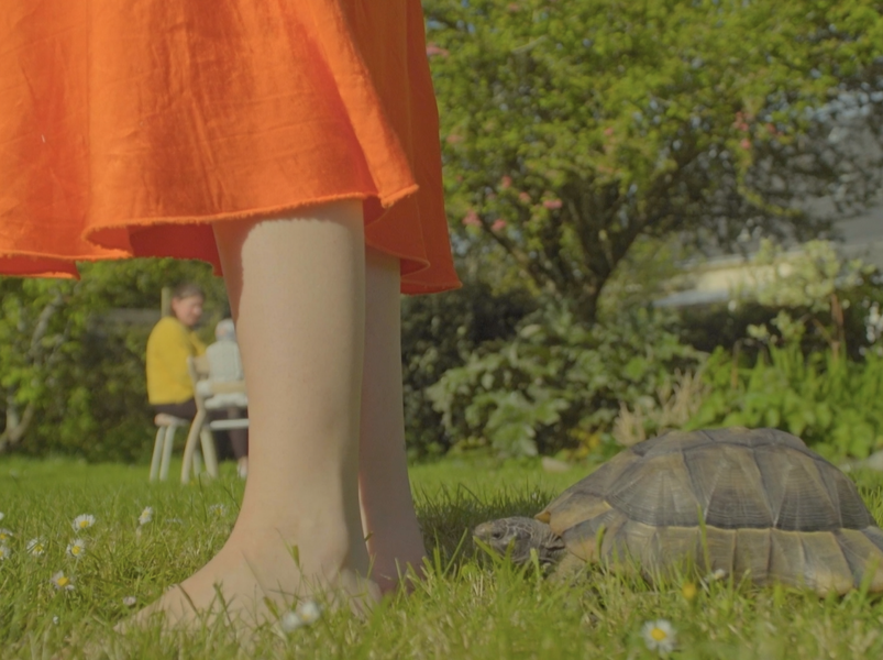 Extrait du film Tortue tu seras tienne