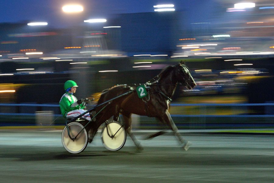 Une course à l'Hippodrome 