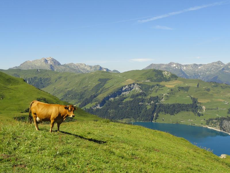 Barrage de Roselend_Arêches-Beaufort