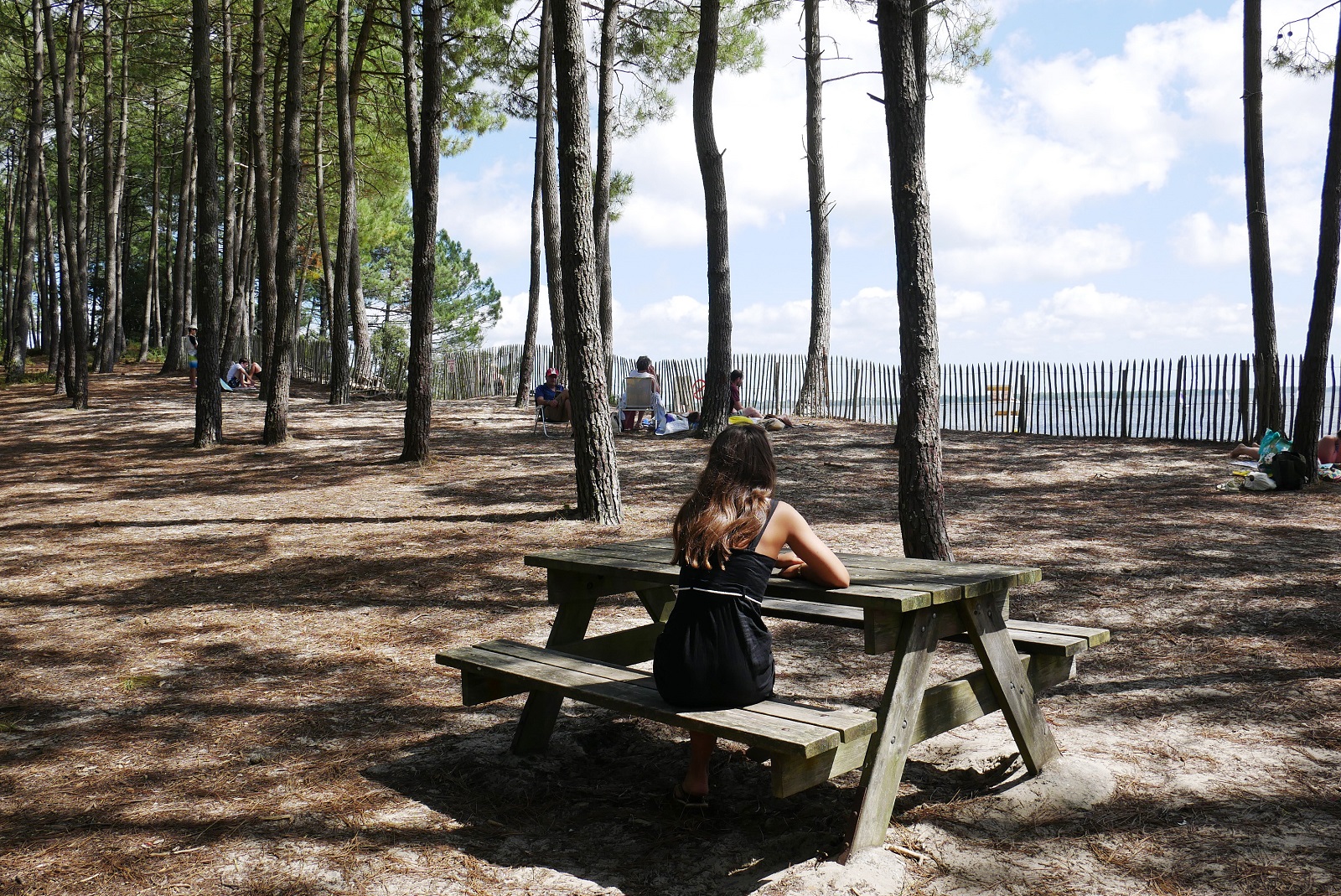 Aire de pique-nique de Hourtin Piqueyrot