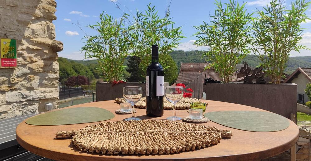 Le Lemon Tree - Gîte 4* à Panossas - Balcons du Dauphiné