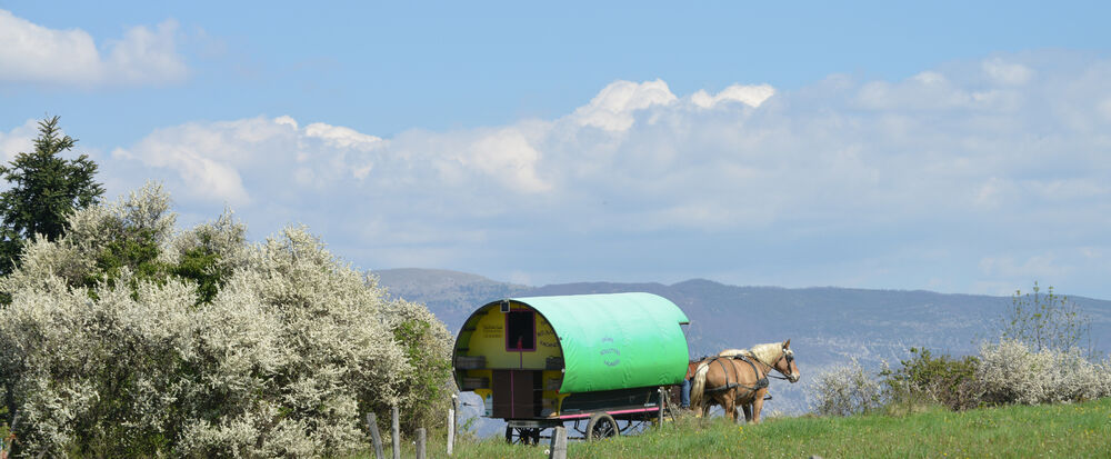 roulotte au printemps