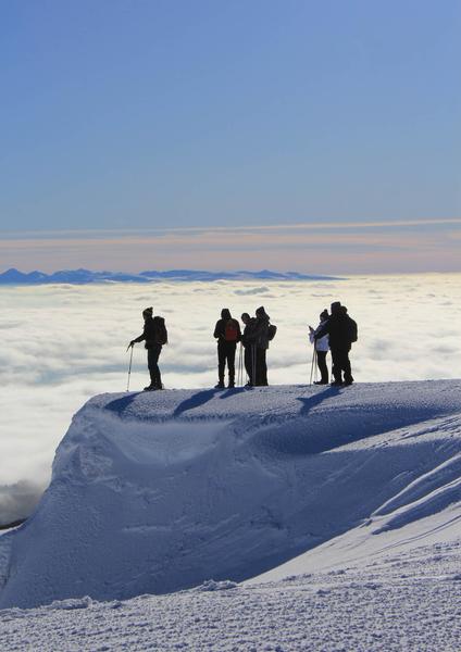 Crêtes du Sancy, randonnée d'altitude accompagnée