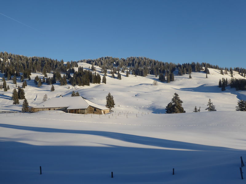 Plateau de la Vattay