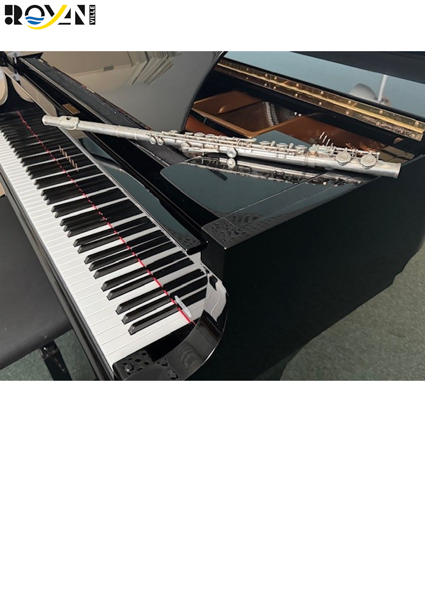 Du Baroque au Rock - Pensées Vagabondes