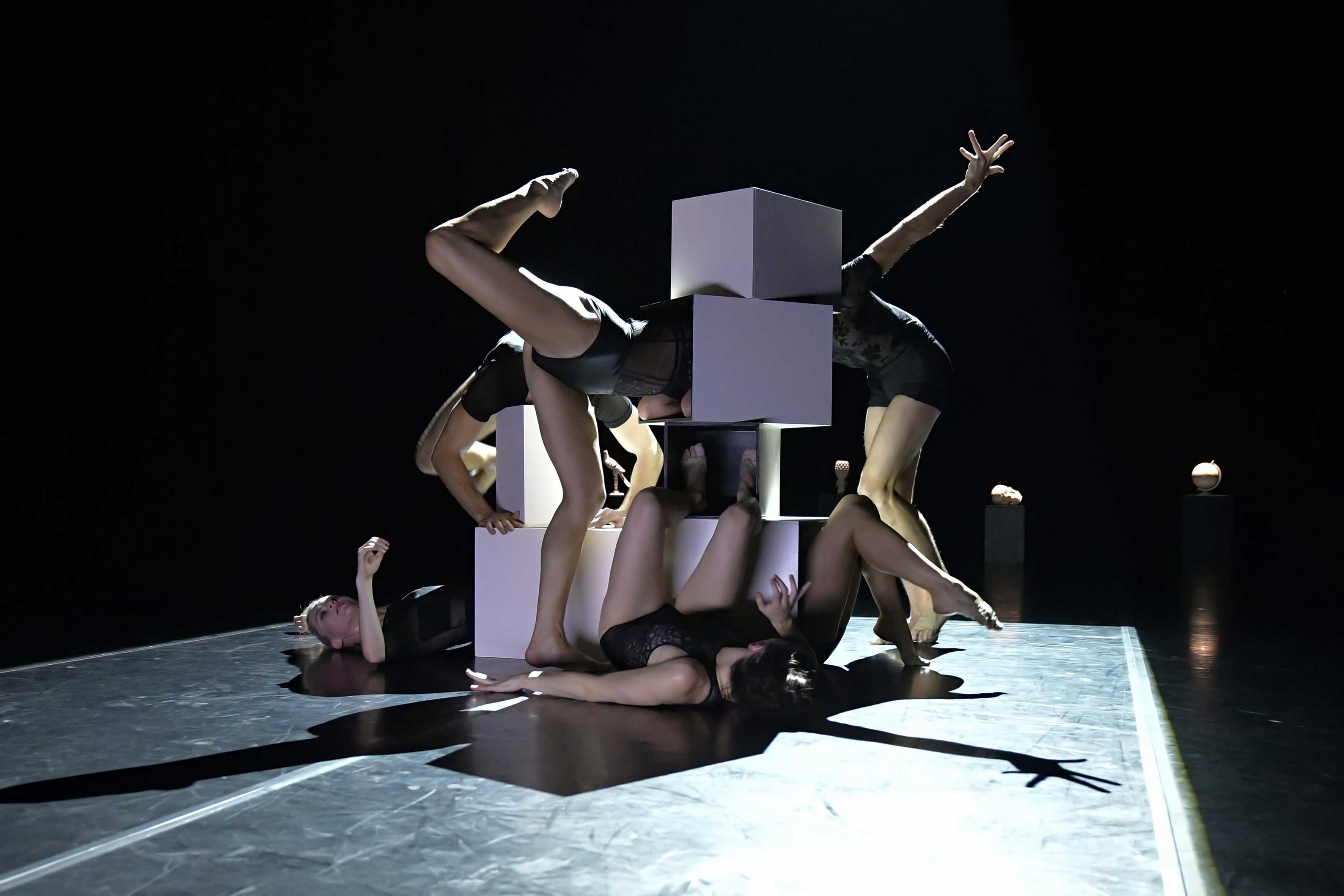 Spectacle - Still Life - Ballet Preljocaj Junior