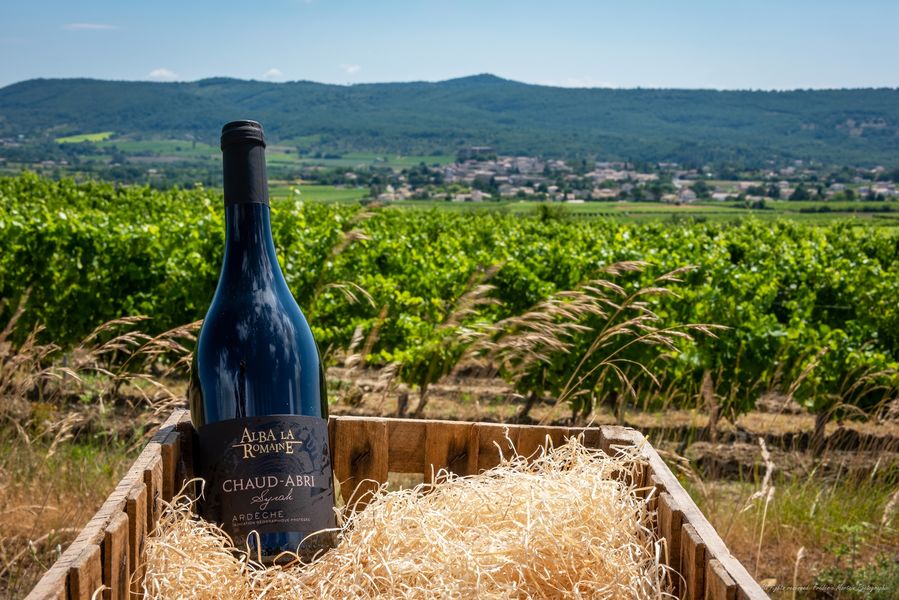 Alba-la-Romaine entre découverte patrimoniale et viticole