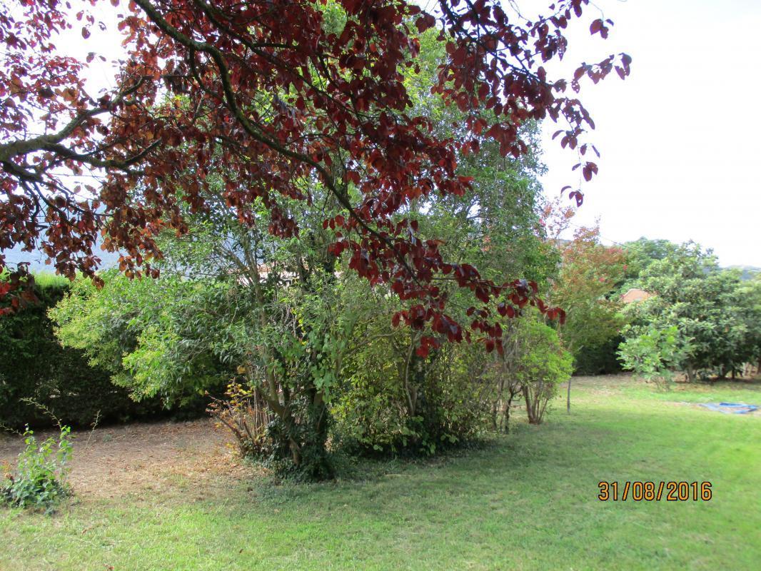 Sophora, Gémenos - photo 19