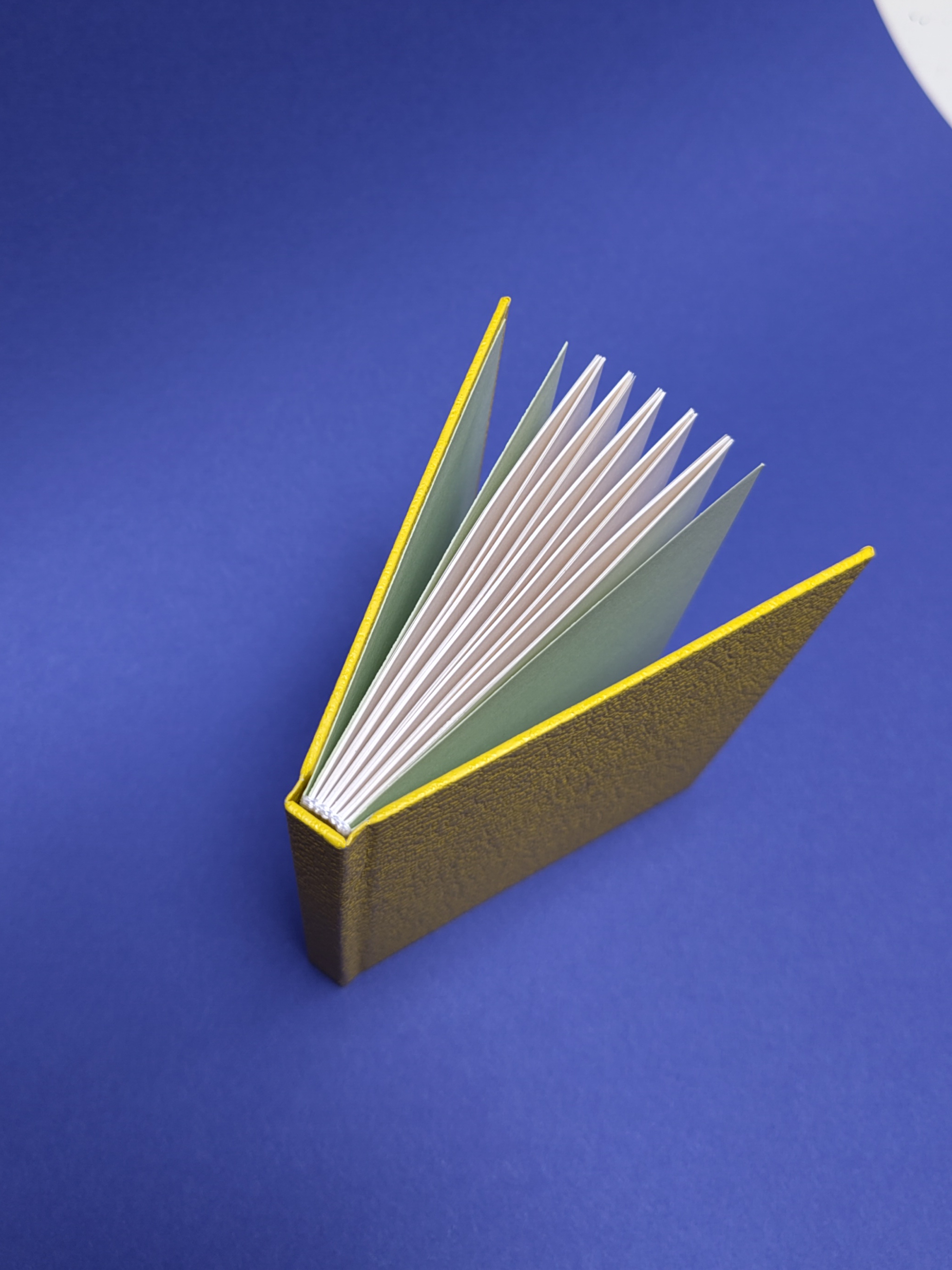 Atelier reliure emboîtage dos-platr