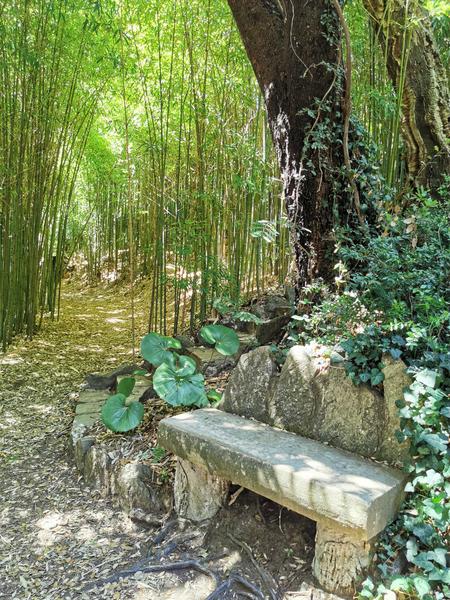 Jardin d'Asie subtropicale