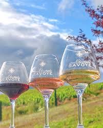 Activité dégustation dans le beaujolais Christophe Savoye