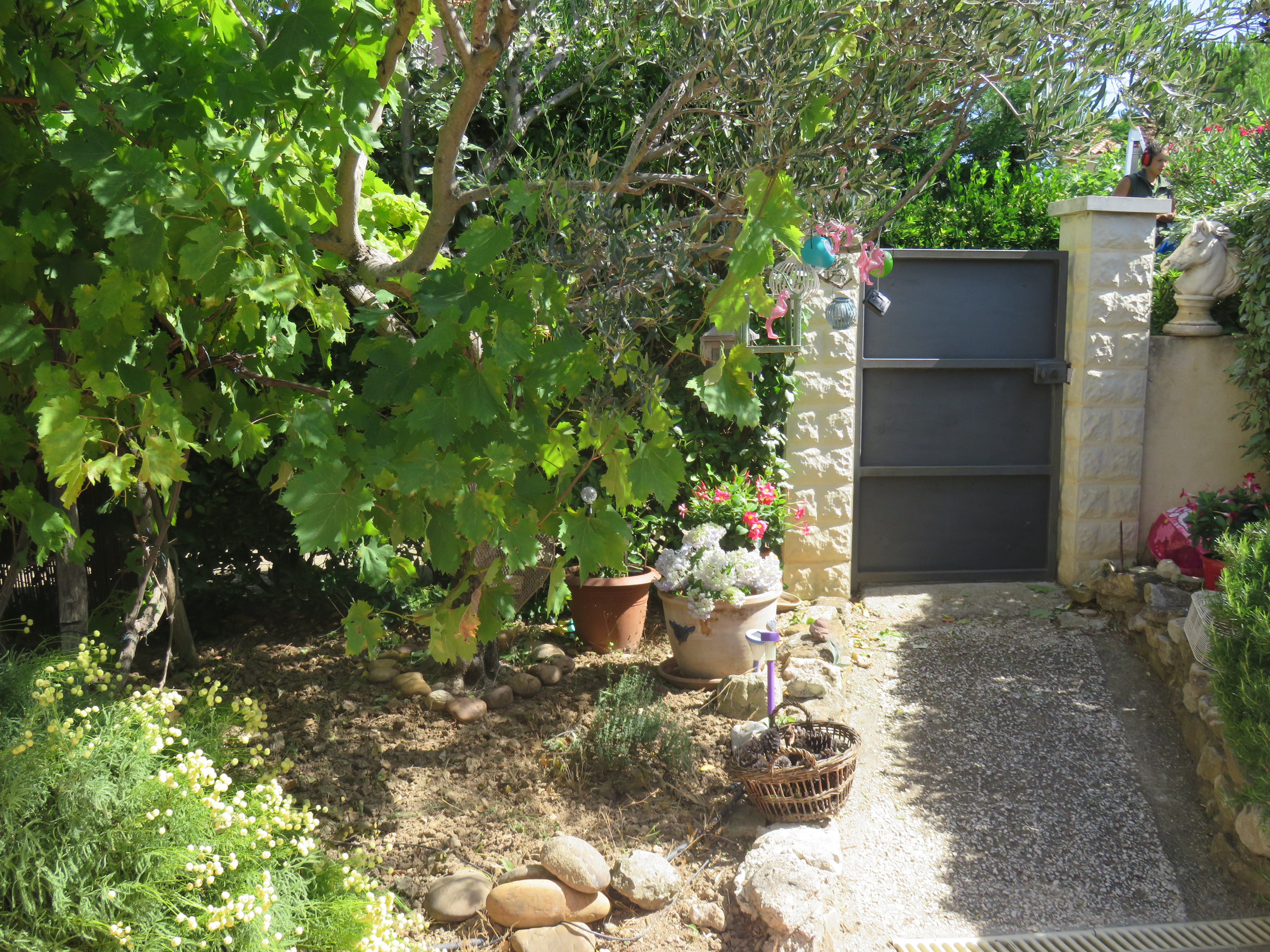 Location touristique à la résidence « Val d’Alpilles », Maussane-les-Alpilles - photo 11