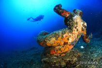 club-sous-l-eau_685693_5