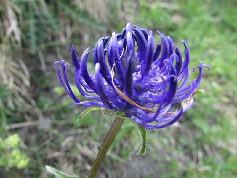 Refuge de la Golèse