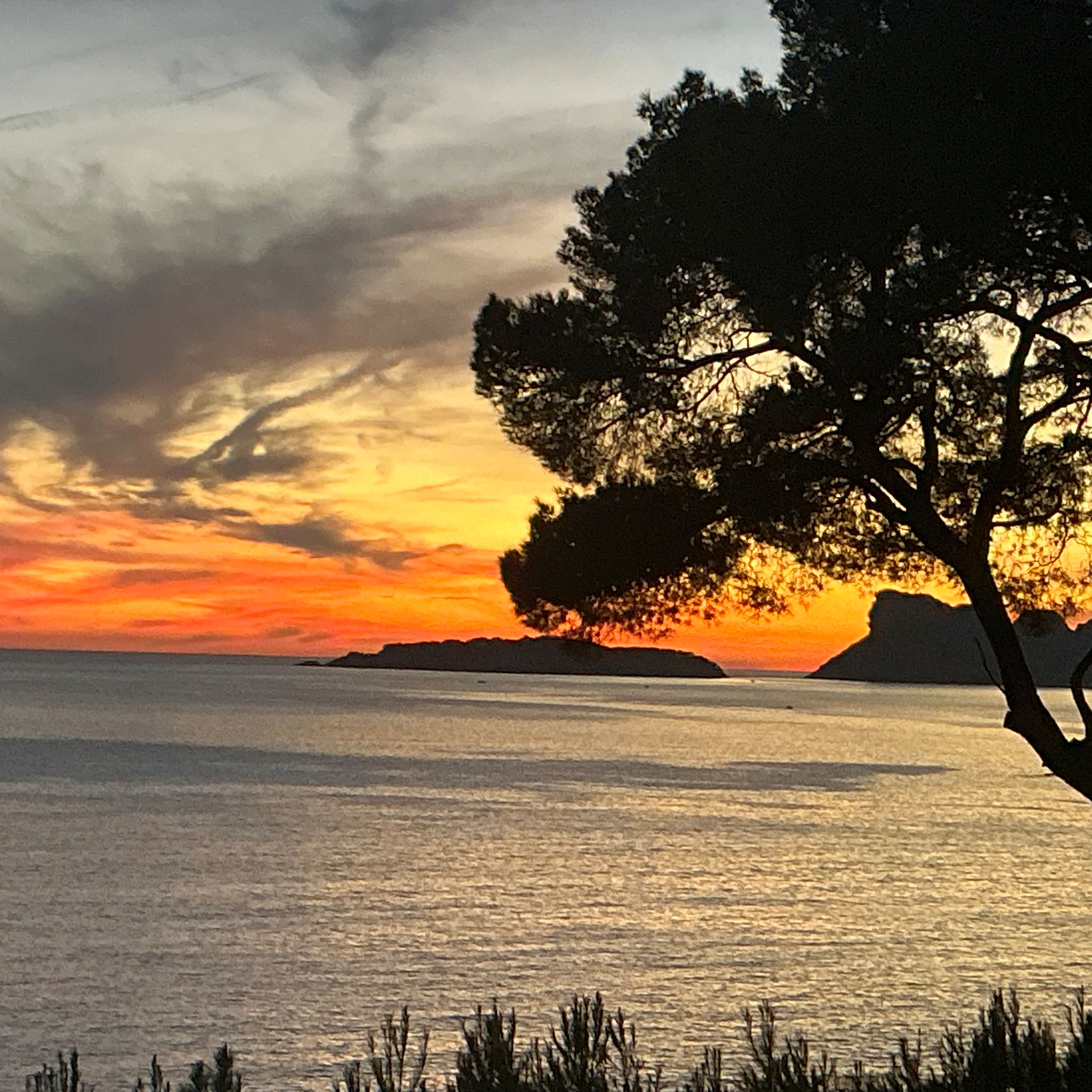 La Table de Nans, La Ciotat - photo 9
