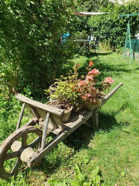 Clin d'oeil fleuri du jardin à 50m -Gîte Le Portalet-Saint-Étienne-de-Tinée-Gîtes de France des Alpes-Maritimes