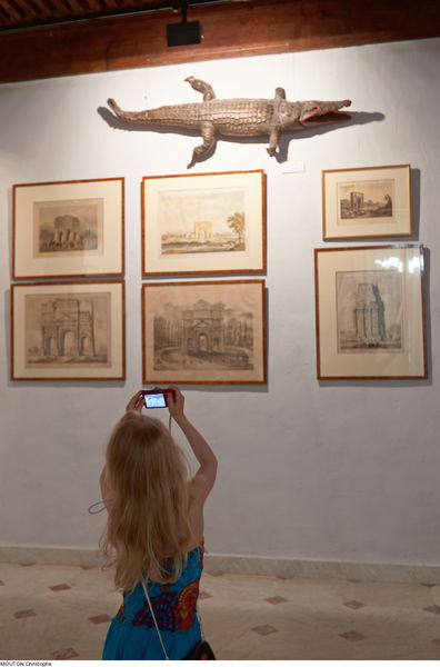 Musée d'Art et d'Histoire