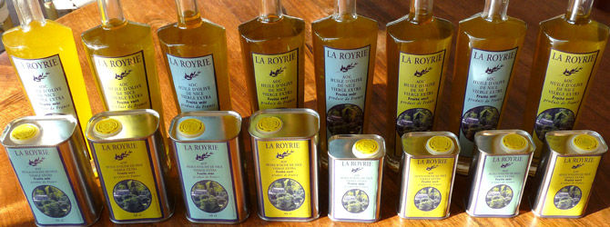 Guided day trip the best of the local olive oil