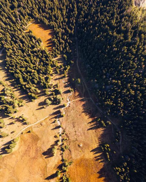 Image illustrative