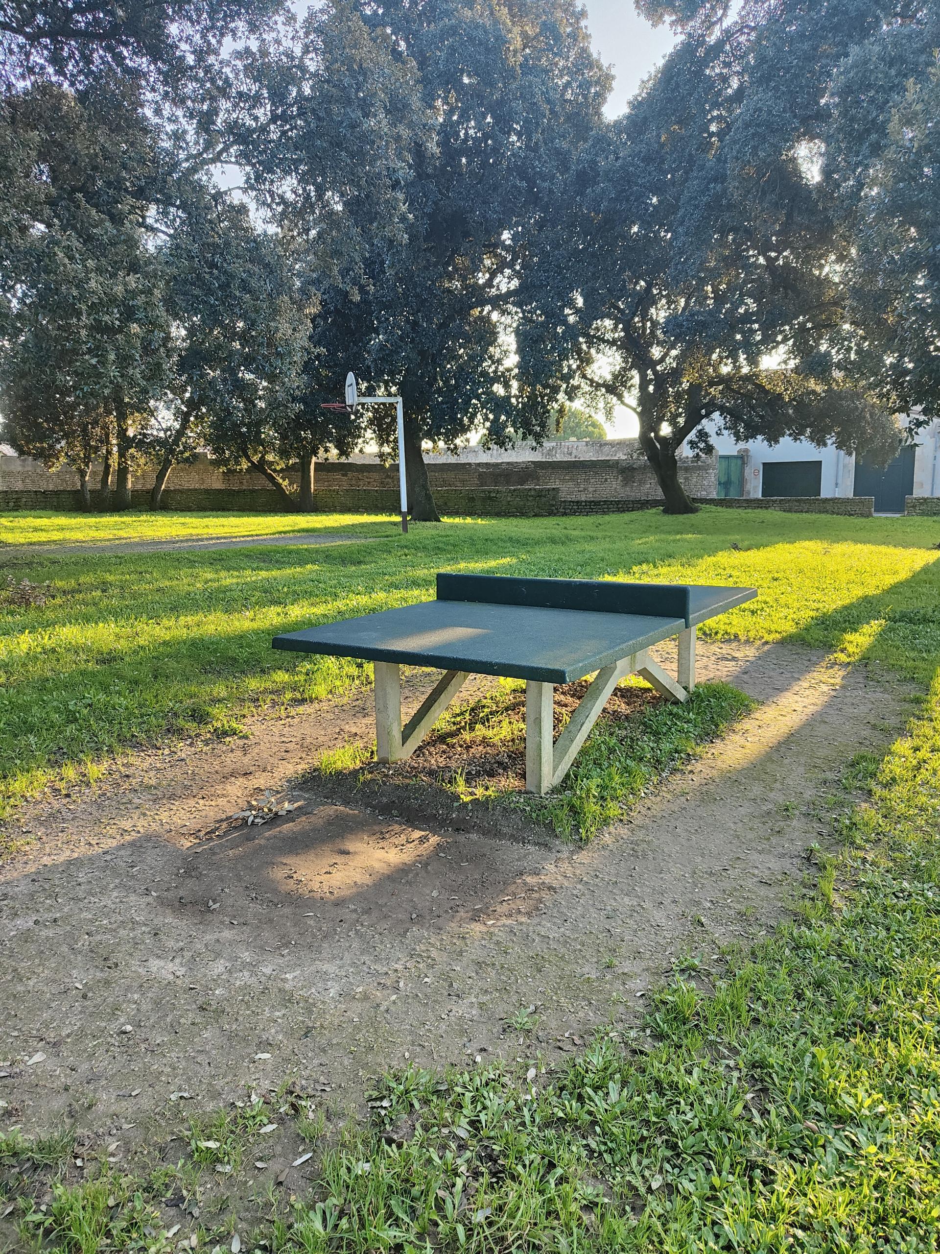 Table de ping pong