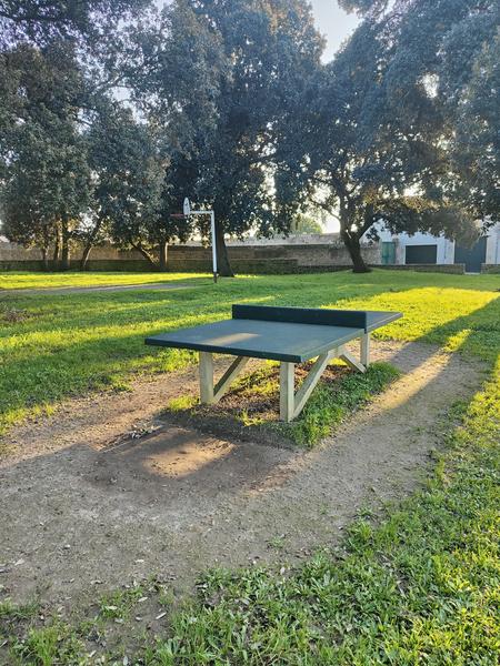 Table de ping pong