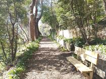 Parc naturel de L'Ermitage - Villeneuve-Loubet