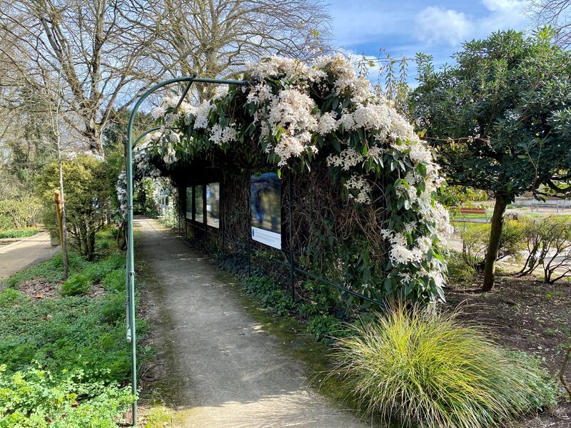 Jardins des Plantes
