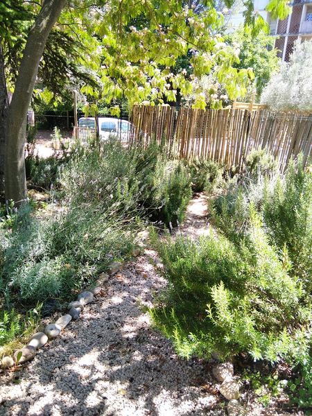 Massages énergétiques et relaxants