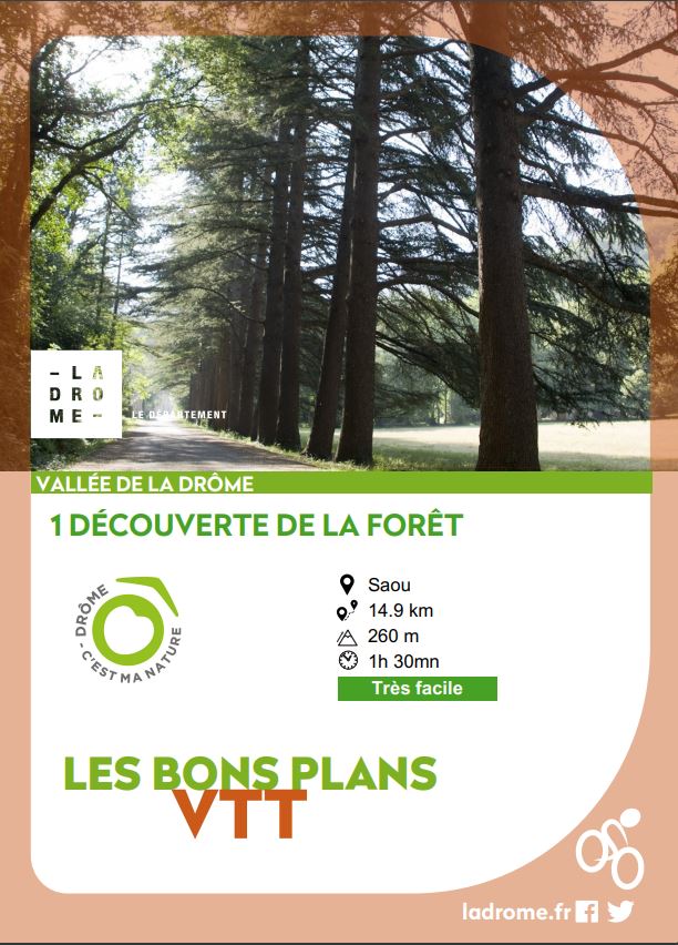 BP VTT découverte de la forêt