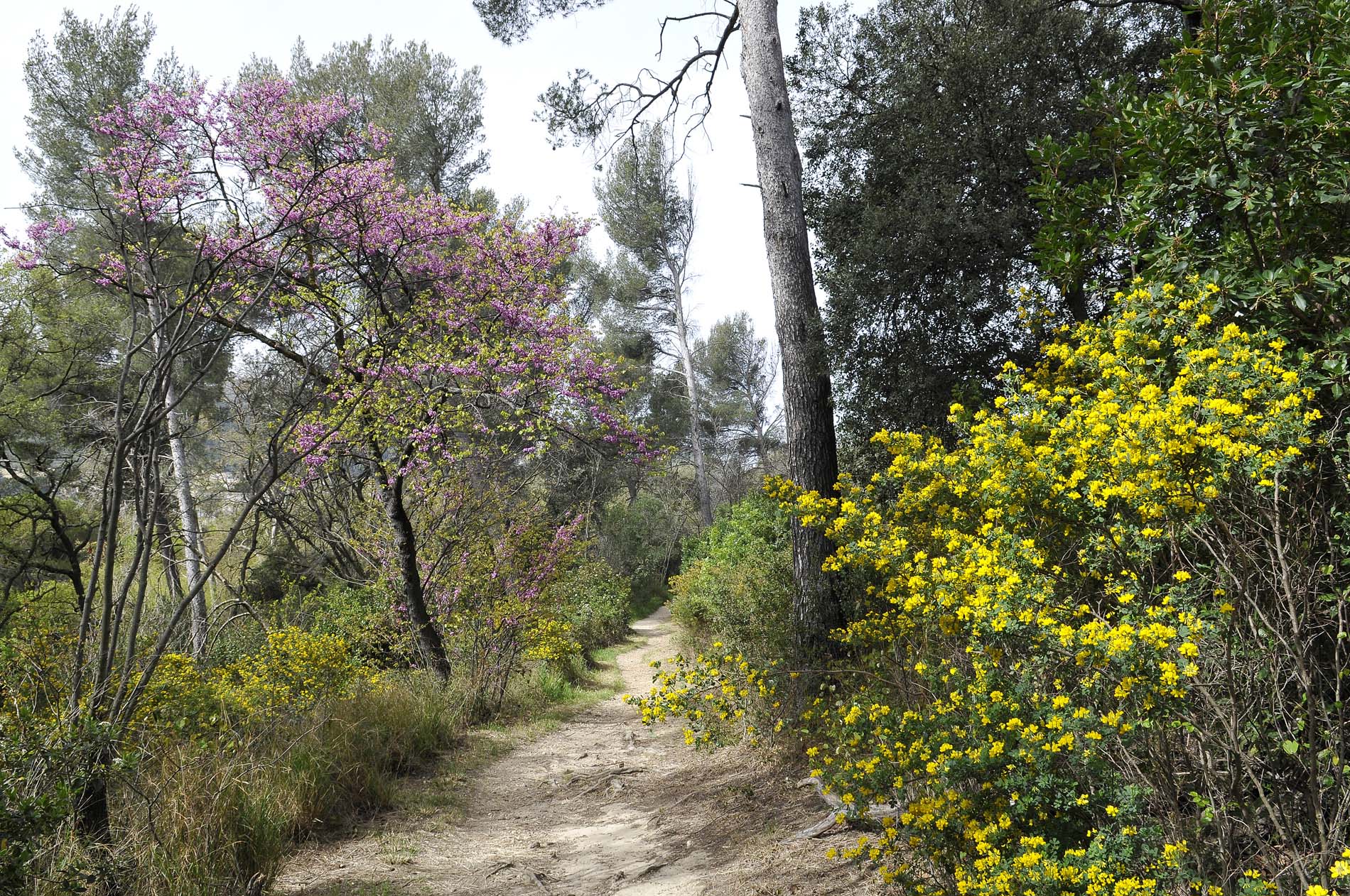 Parc des 7 collines - Ville de Marseille