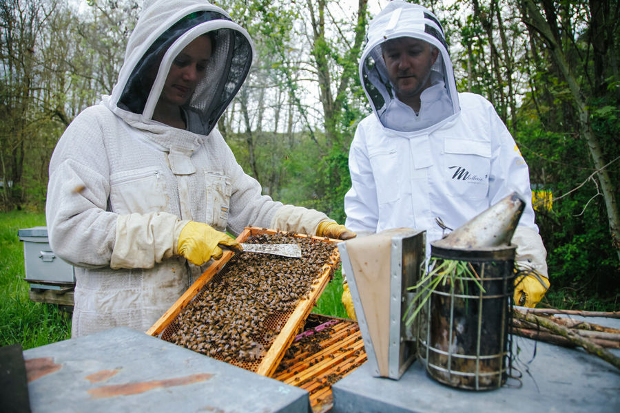 Miellerie des Gorges de la Loire