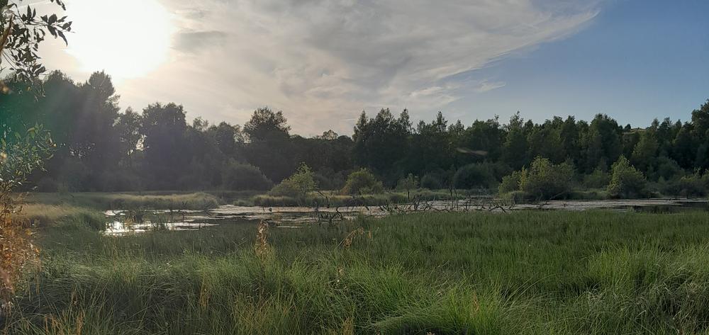 Stage jeunes et tourbières formule 4 jours / 3 nuits
