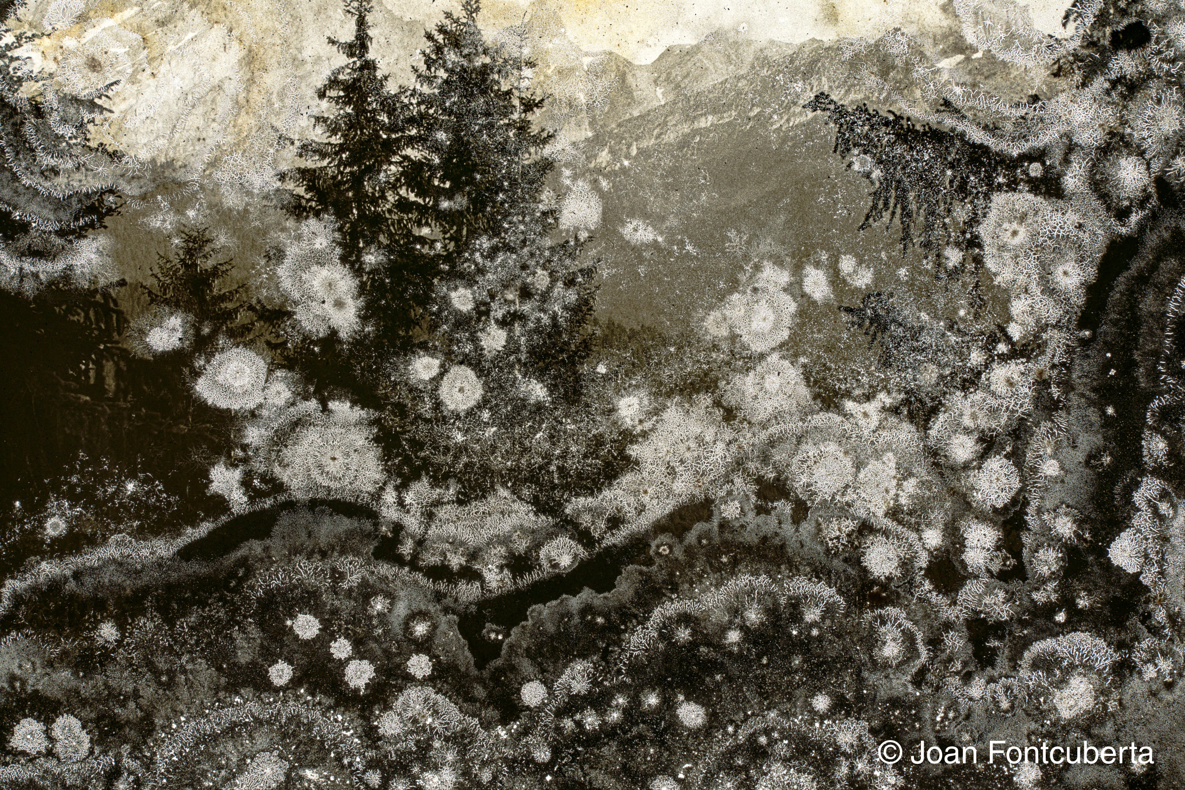 TRAUMA – Exposition de Joan Fontcuberta
