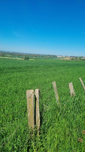 Circuit VTT-VTC n°14 (rouge)_Hauts de la vallée de la Reyssouze