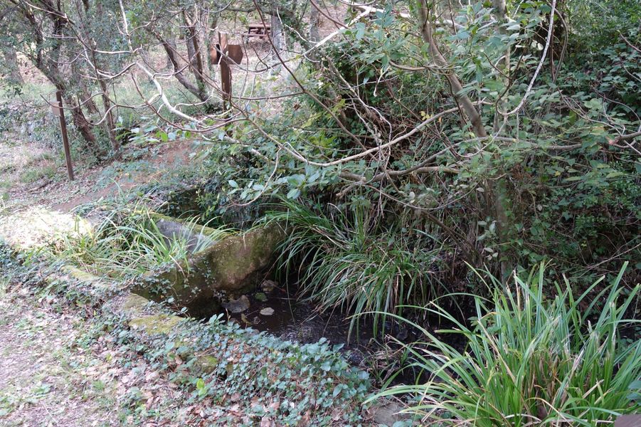 Lavoir et source de l'Arlatane