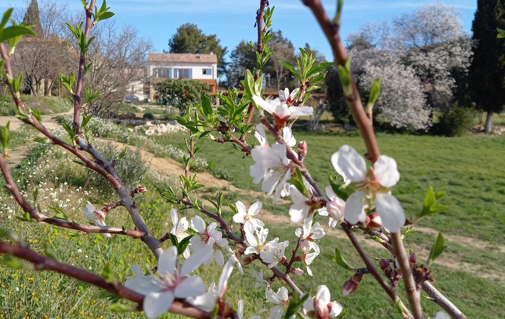 Au temps des secrets - photo 5