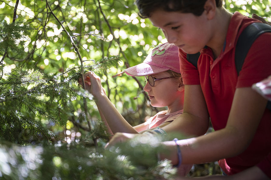 potion magique de Grandboramix