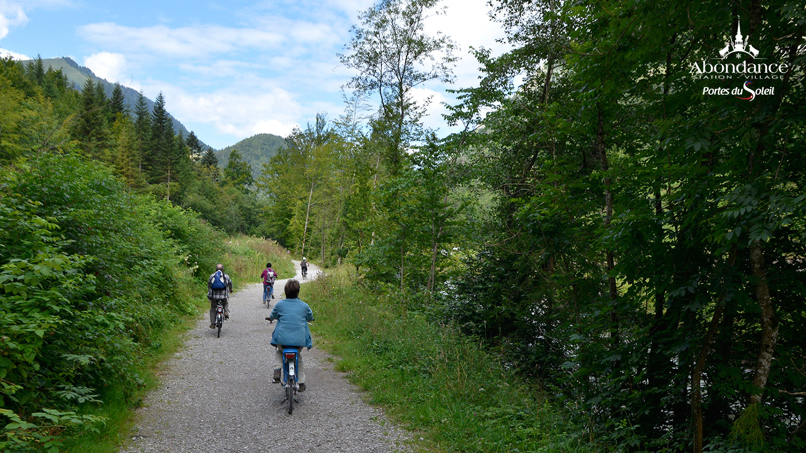 Electric mountain bike course 7 - Abondance