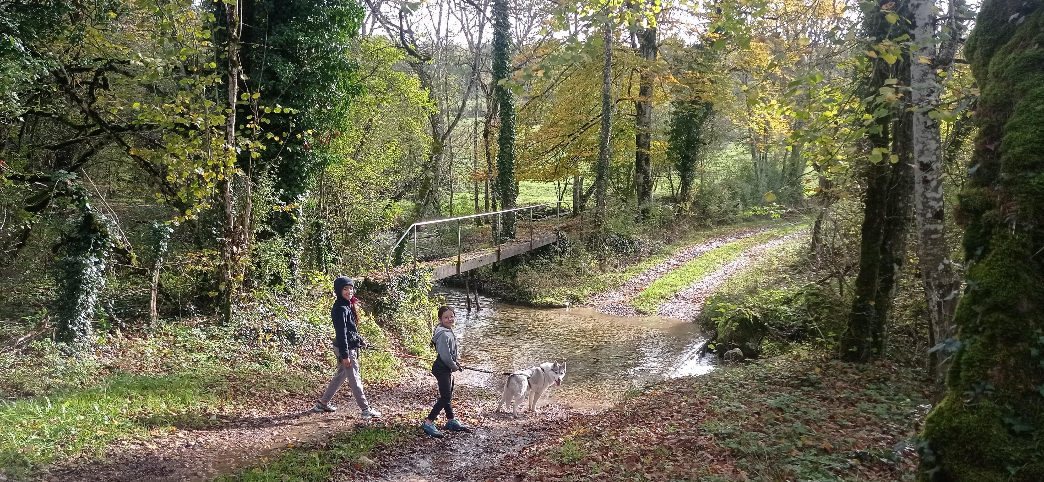 Cani-rando avec Symbiose