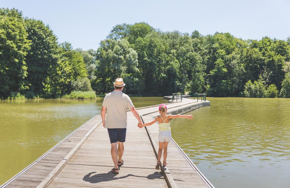 Balade autour du plan d'eau