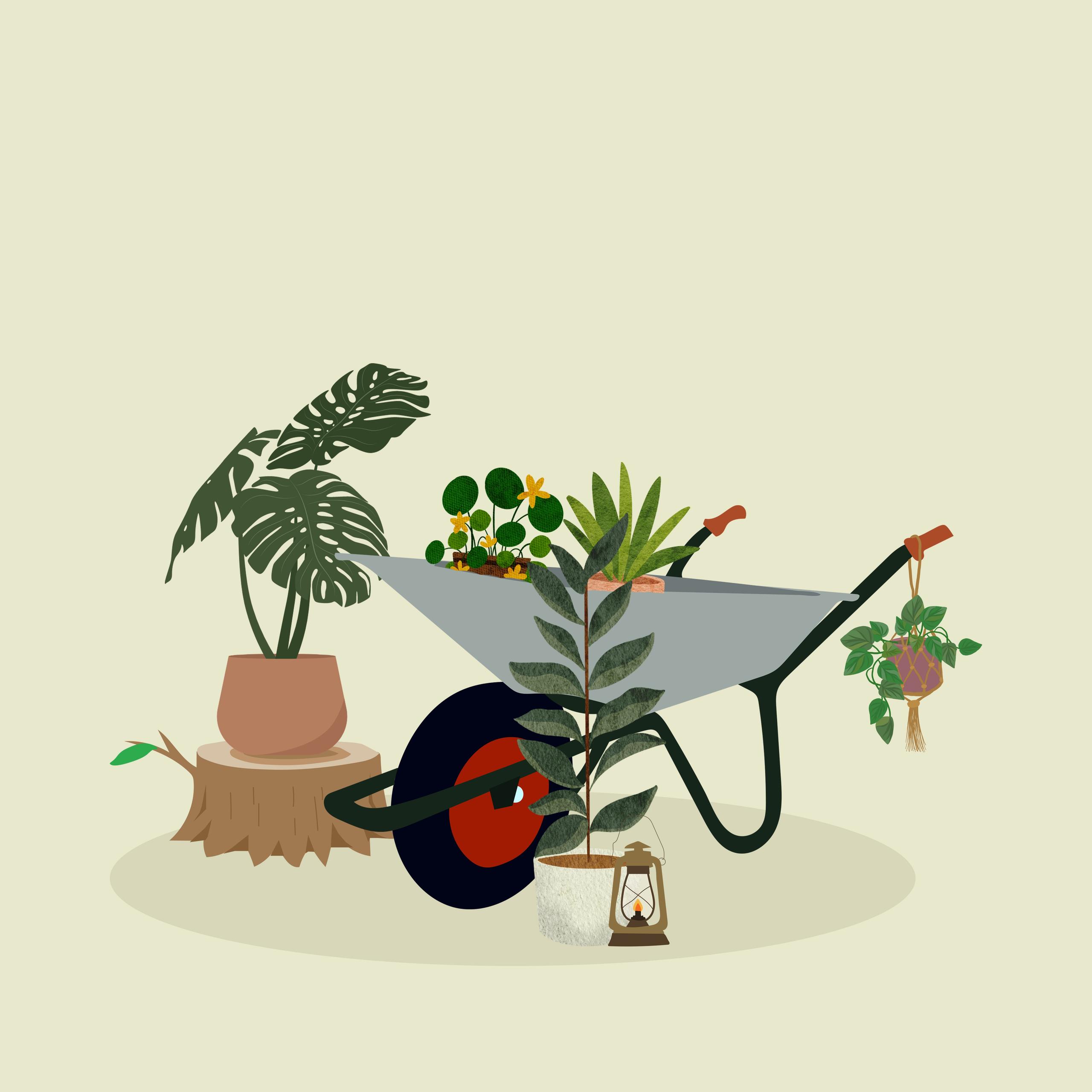 Fête de la Nature : Troc plantes