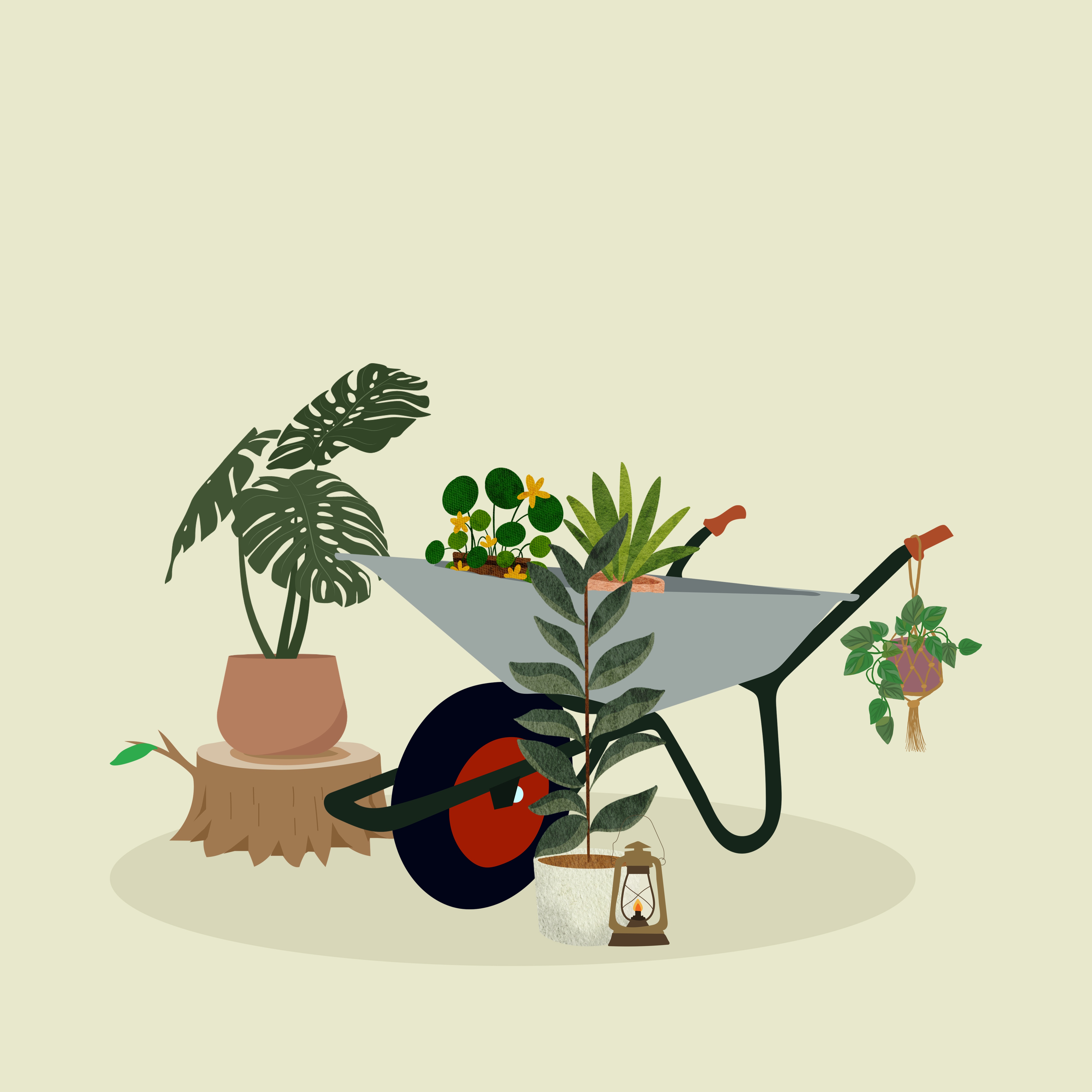 Fête de la Nature : Troc plantes