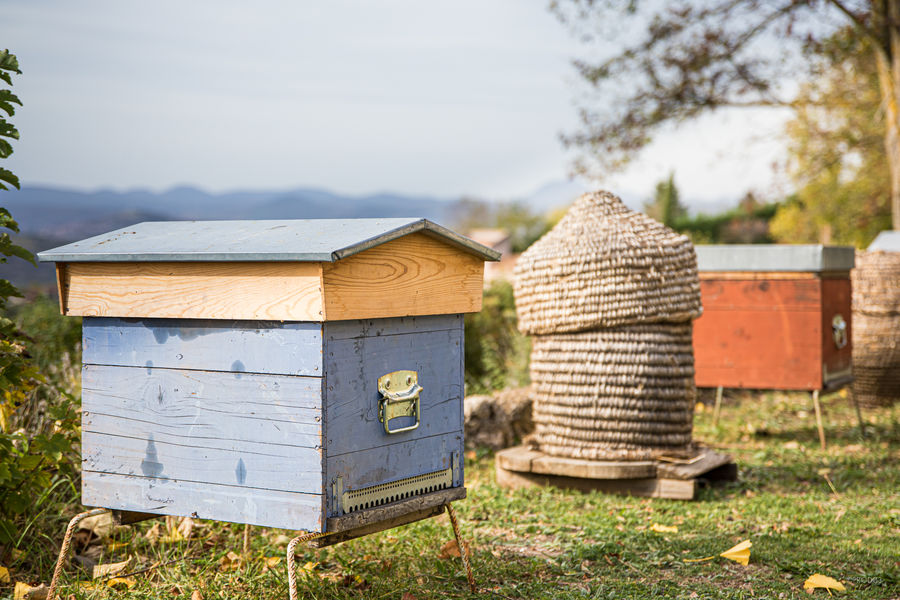 Les ruchers du bon berger