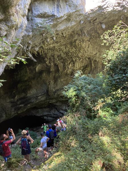 baume de ronze