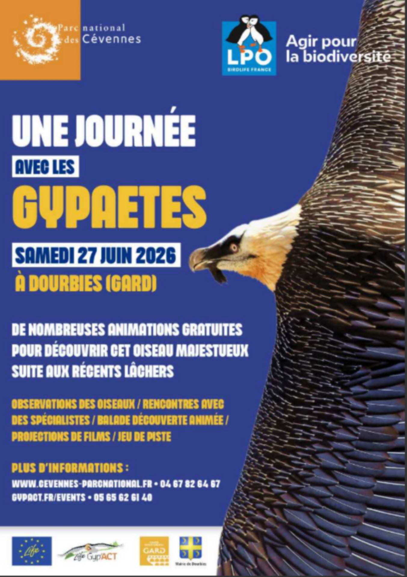 Venez Observer les Jeunes Gypaètes Barbus_Dourbies