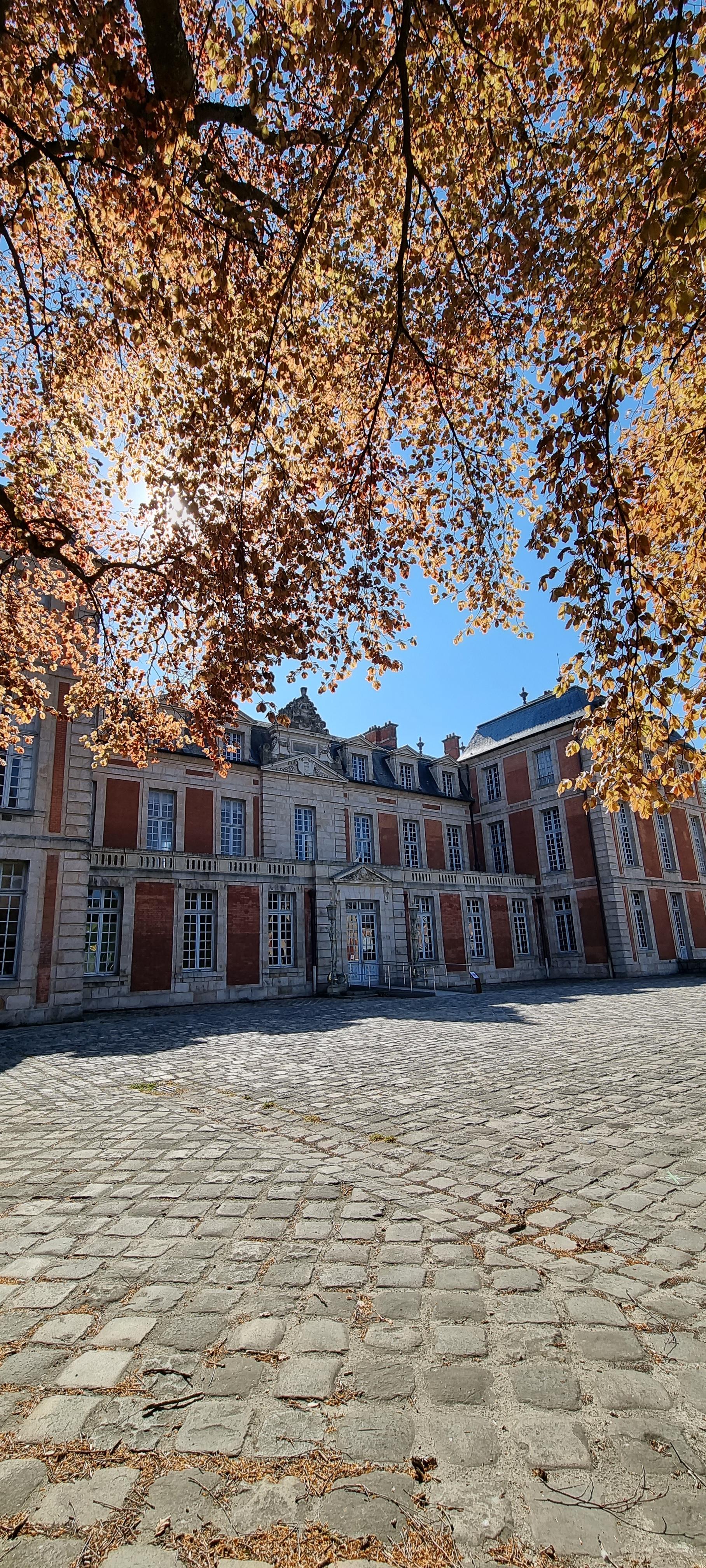 Domaine du00e9partemental de Chamarande
