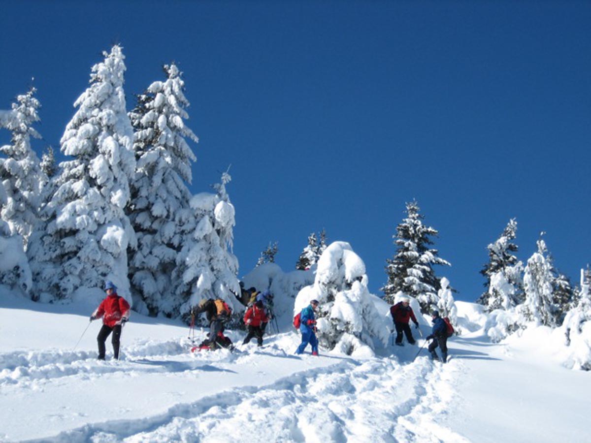 Auvergne Escapade