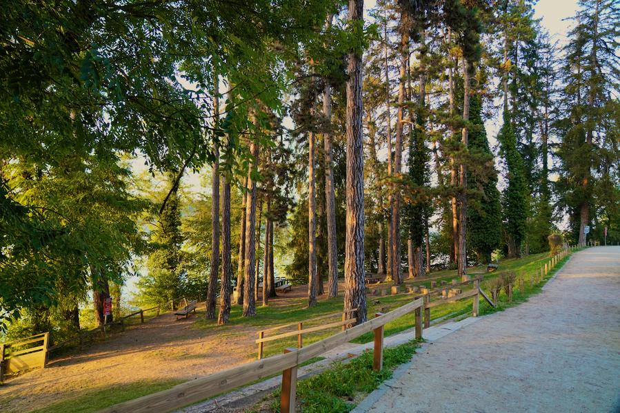 Bois d'amour en 2023