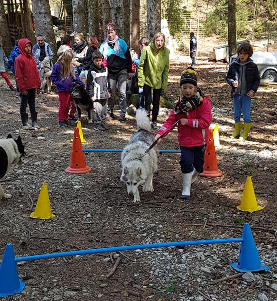 Les Ateliers du Parc Nordique - Agilty